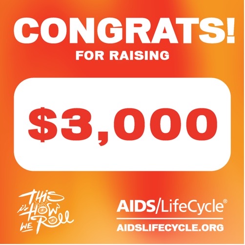 AIDS LifeCycle 3000 donations